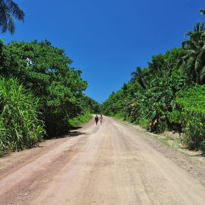 Winding or dirt road in the hills