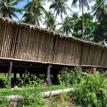 Longhouse side under palms
