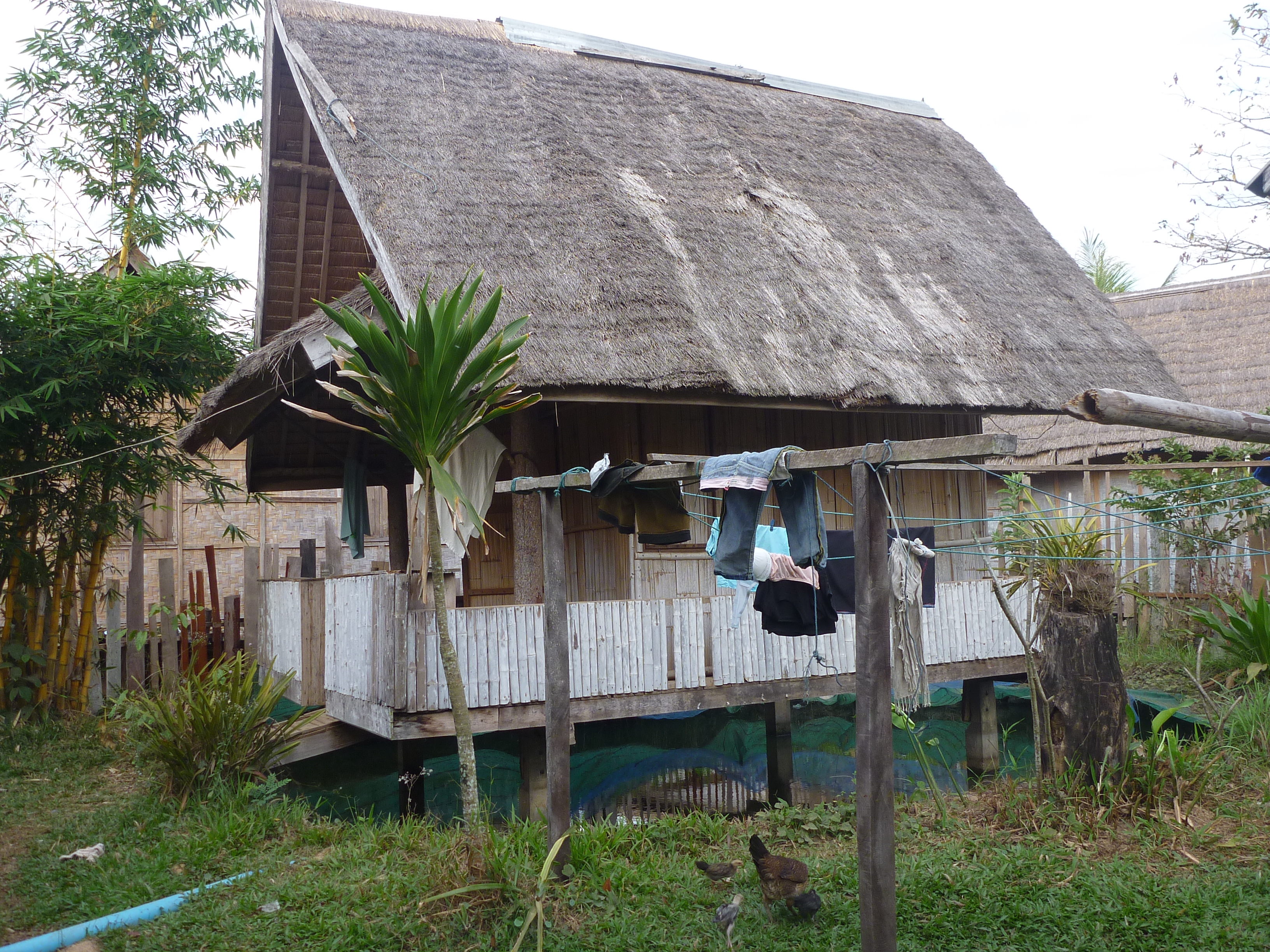 Bungalow room on stilts above the fishpond at Tim’s Guesthouse